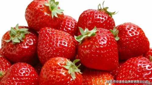 食品品牌營銷策劃公司 以消費者洞察為核心，驅動品牌價值增長